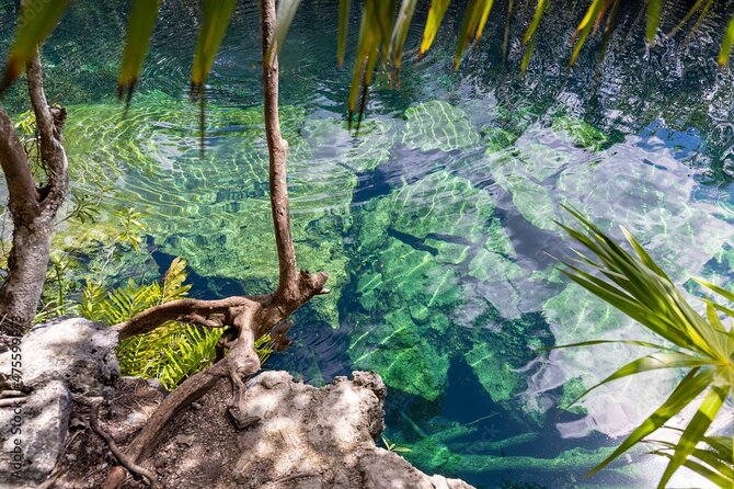 Tour 4 Cenotes Casa Tortuga Tulum. Food + Zipline. Includes Pickup. - Food and zipline require careful checking