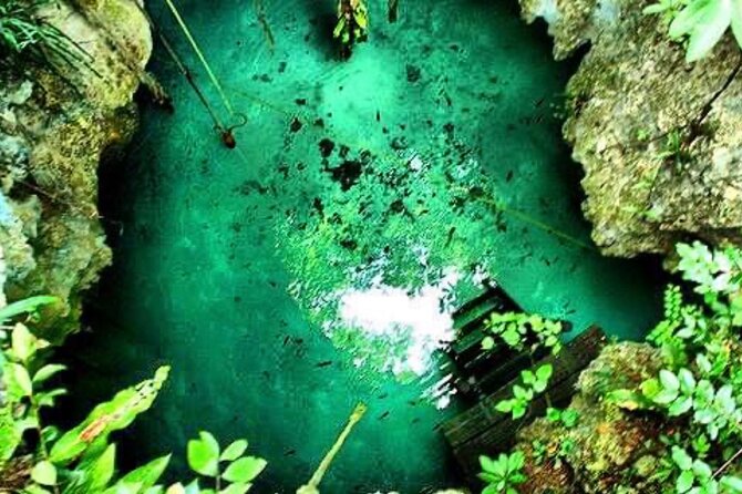 Tour Cenote Santa Cruz - Swimming with borrowed gear