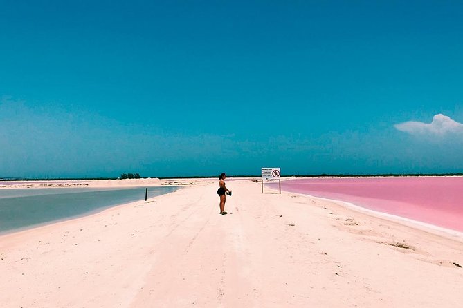 Tour Las Coloradas & Rio Lagartos only from Tulum - The pink lagoons are worth the long road