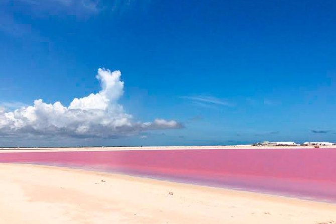 Tour Las Coloradas & Rio Lagartos only from Tulum - Rio Lagartos brings the wildlife