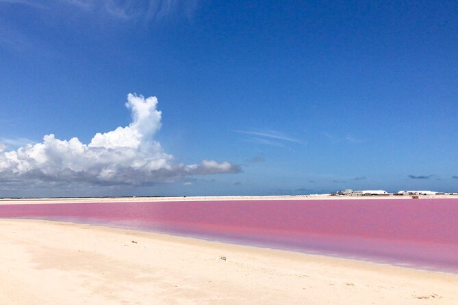 Tour Las Coloradas & Rio Lagartos only from Tulum - The transportation question deserves attention