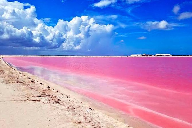 Tour Las Coloradas & Rio Lagartos only from Tulum - Who will enjoy this outing most