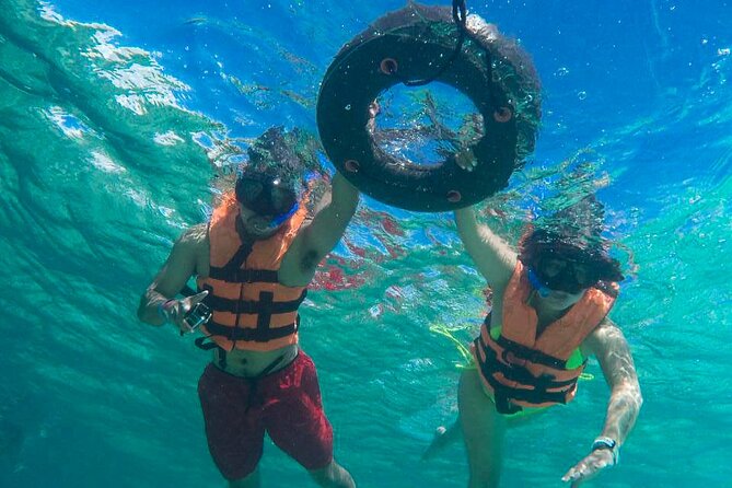 Tour to swim with turtles - Timing, value, and the photo question