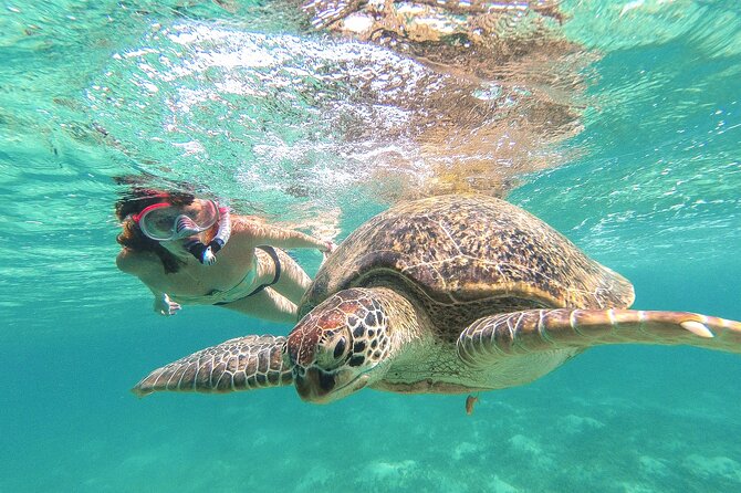 Tour to Tulum and Cenote Swimming with Turtles from Tulum - Key points at a glance