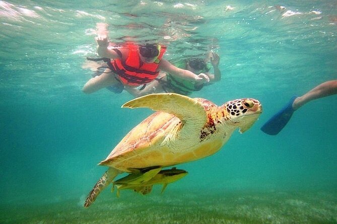 Tour to Tulum and cenote with swimming with turtles from Riviera Maya - What the $89 price really covers