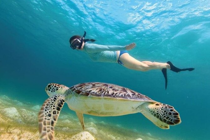 Tour to Tulum and cenote with swimming with turtles from Riviera Maya - Booking, weather, and cancellation details