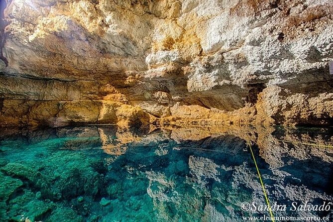Tour Tulum Coba Cenote and Playa del Carmen (4 in 1) - Shared transport is the real test of this tour