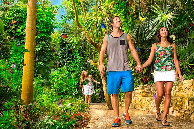 Tour Xcaret All Inclusive from Playa del Carmen - Included Transportation - Getting from Playa del Carmen to the park