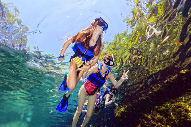 Tour Xel-Ha & Coba Ruins - One Day from Riviera Maya & Cancún - Nohoch Mul: confirm the climbing policy