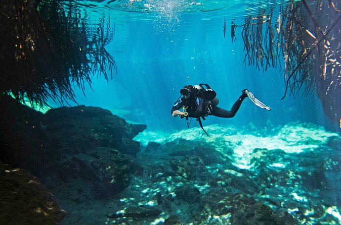 Try dive in beautiful Casa cenote for 2 people - Practical details that affect your day
