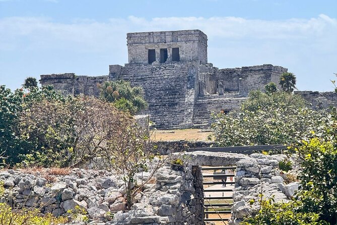 Tulum + 2 Cenotes & Authentic Taco Adventure - Key points at a glance