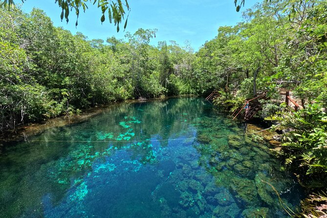 Tulum + 2 Cenotes & Authentic Taco Adventure - Pickup, timing, and the shape of the day