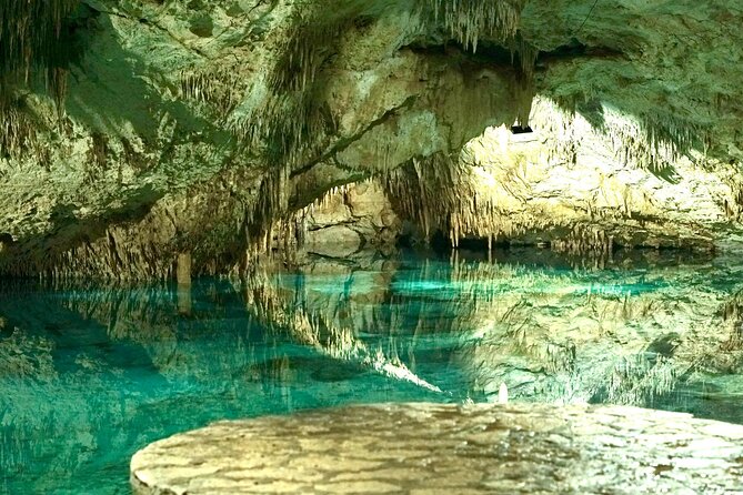 Tulum + 2 Cenotes & Authentic Taco Adventure - The guide can shape the whole experience