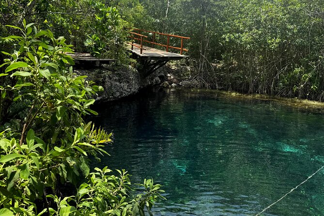 Tulum + 2 Cenotes & Authentic Taco Adventure - Who will get the most from this outing
