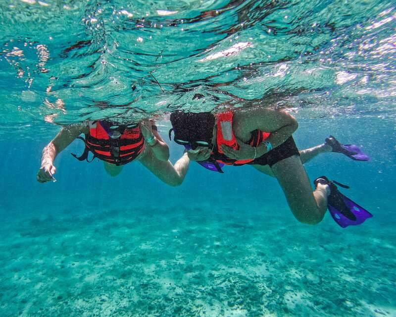 Tulum: 2-Hour Snorkeling in Two Spots of Tulum's Reef - First reef stop: turtles, rays, and clear water