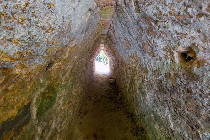 TULUM 4x1: Archaeological Zone, COBA, Cenote, 5th Avenue and lunch. - What the $37 price really means