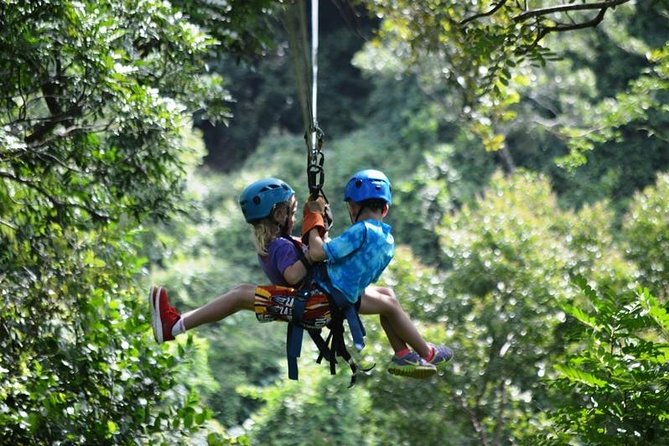 Tulum Adventure (archeological zone-Atv-ziplines-cenote-lunch-drinks-rappel) - The move from ruins to jungle