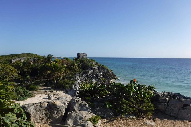 Tulum Adventure (Private, Full Day) - Who will enjoy this tour most?