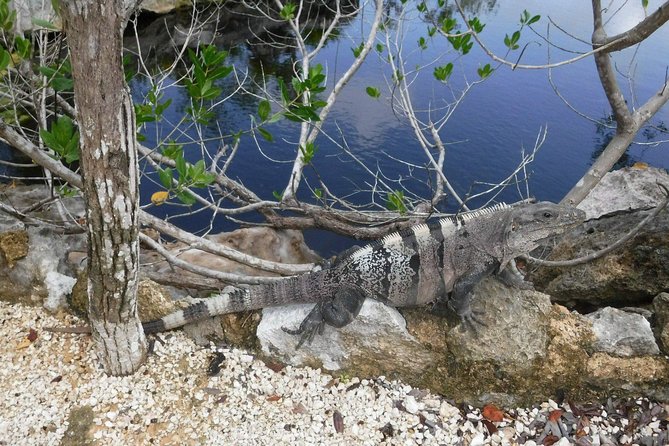 Tulum Adventure (Private, Full Day) - Spending two hours at Tulum Archaeological Site