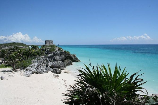 Tulum and Cenote Casa Tortuga Day Trip - Swimming at Casa Tortuga