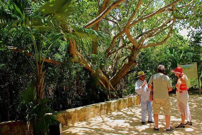 Tulum and Cenote Casa Tortuga Day Trip - What the $129 price really covers