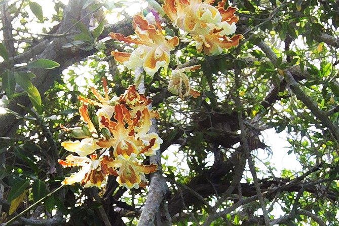 Tulum Archaeological Site & Sian Ka'an Muyil Tour from Tulum - Pickup, group size, and extra costs