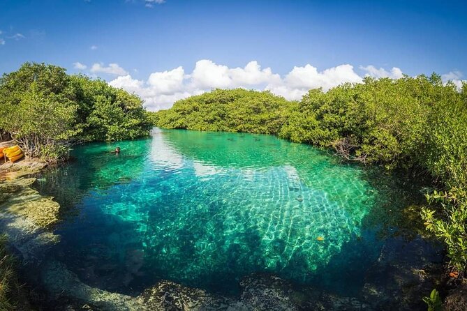 Tulum Area Experiences Guided 2 Tank Scuba Dive Casa Cenote & Barrier Reef-Lunch - Equipment and the no-frills setup