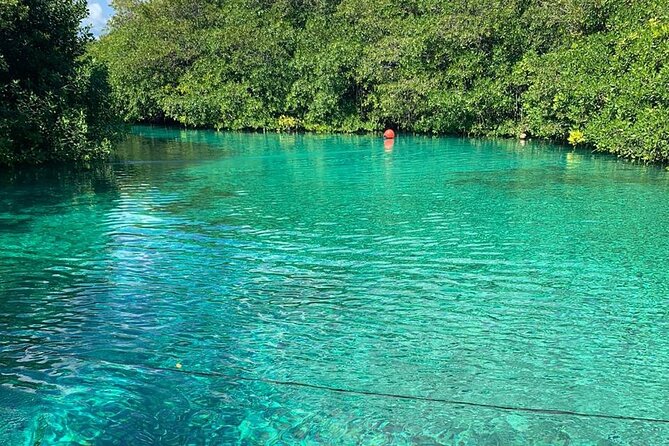 Tulum Area Experiences Guided 2 Tank Scuba Dive Casa Cenote & Barrier Reef-Lunch - Timing and how to plan your day