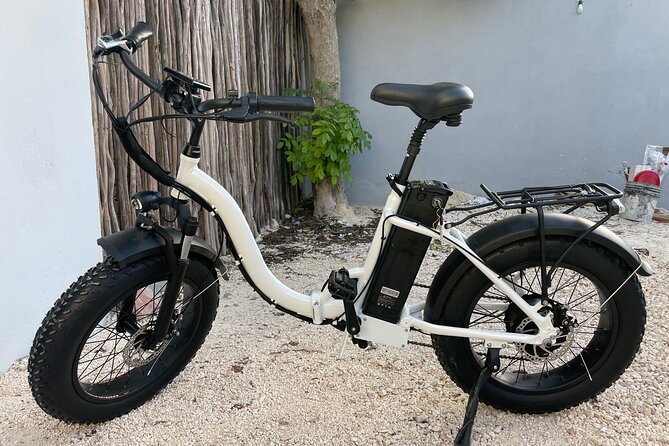 Tulum Area Experiences Guided E-Bike Tour- 3 Cenote's Snorkel/Swim & Local Lunch - Cenote Cristal: swimming followed by a Mayan lunch