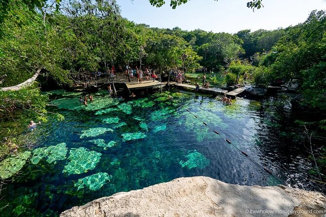 Tulum Area Experiences Guided E-Bike Tour- 3 Cenote's Snorkel/Swim & Local Lunch - Who will enjoy the riding and swimming most?
