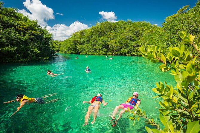 Tulum Area Experiences Guided Snorkeling Tour - Casa Cenote + Ocean Reef & Lunch - Casa Cenote brings freshwater and seawater together