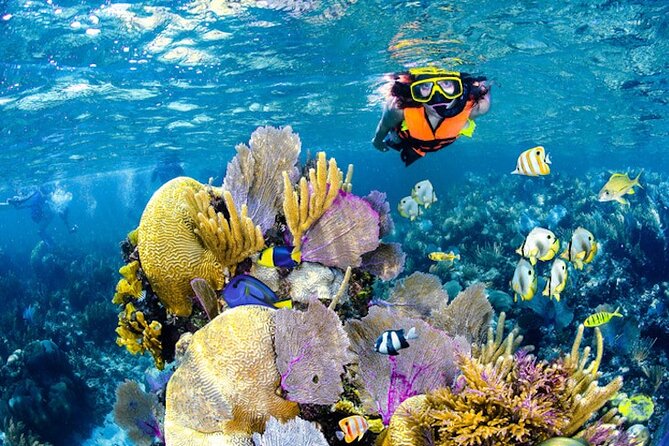 Tulum Area Experiences Guided Snorkeling Tour - Casa Cenote + Ocean Reef & Lunch - Guides make the difference in a small group