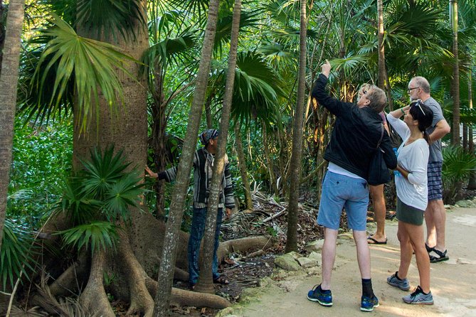 Tulum Bike Tour Tulum Maya Ruins Cenote Swimming Pueblo History Art Tacos Lunch - Tacos in a real neighborhood