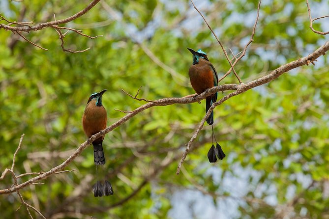 Tulum & Cenote Adventure - A small group changes the feel