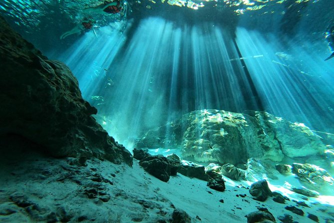 Tulum cenote diving. The ultimate experience in scuba - The 8 a.m. start and hotel pickup