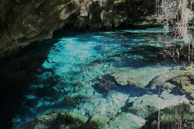 TULUM, CENOTE, MYSTIKA MUSEUM, TURTLES SNORKELING (Private) - Why the private format can be worth $260