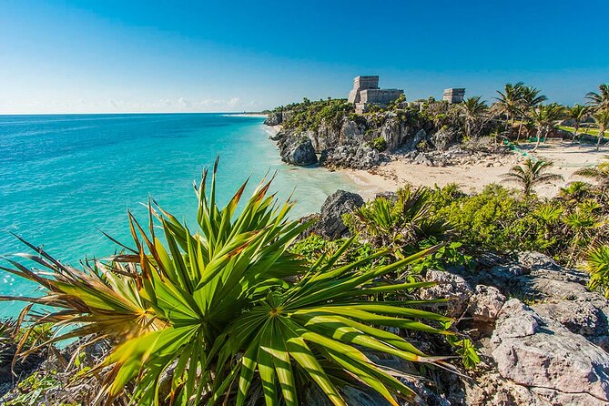 TULUM, CENOTE, MYSTIKA MUSEUM, TURTLES SNORKELING (Private) - Pickup across Playa del Carmen and Riviera Maya