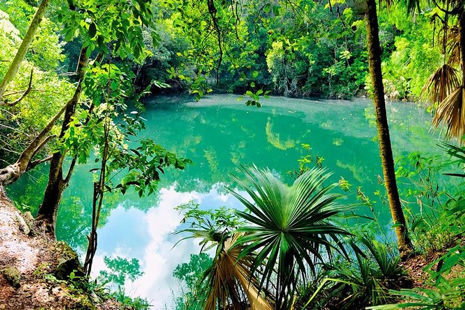 TULUM, CENOTE, MYSTIKA MUSEUM, TURTLES SNORKELING (Private) - Should you book it?