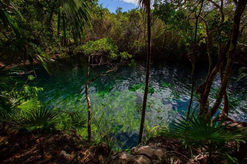 Tulum: Cenote Trail Bike Tour - How hard is the ride?