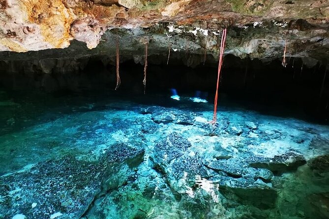 Tulum & Cenotes Private Tour - What private transport adds to the day