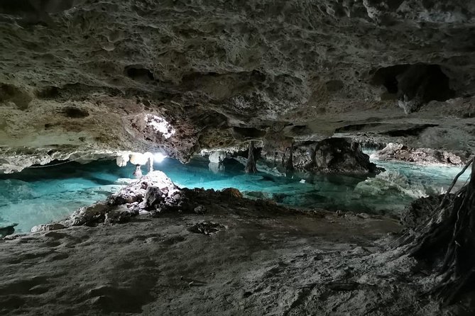 Tulum & Cenotes Private Tour - Value for families, groups, and independent-minded couples