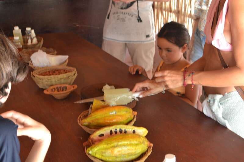 Tulum: Chocolate & Honey Sanctuary Experience with Lunch - My booking advice