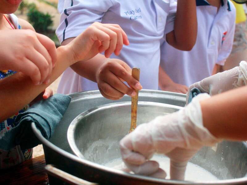 Tulum: Chocolate & Honey Sanctuary Experience with Lunch - Learning about the Maya bee and making honey soap