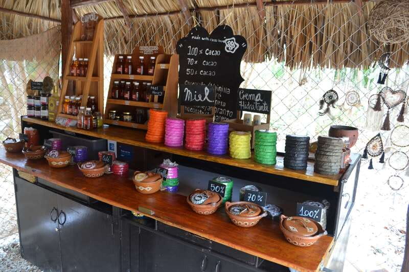 Tulum: Chocolate & Honey Sanctuary Experience with Lunch - Who should book this Tulum experience?