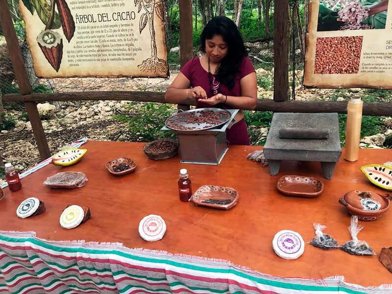 Tulum: Chocolate & Honey Sanctuary Experience with Lunch - The cacao lesson: from Maya currency to handmade chocolate