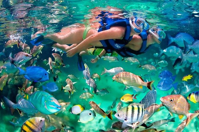 Tulum Coba Akumal Snorkel tour Premium Service Small Group - The early start and hotel pickup