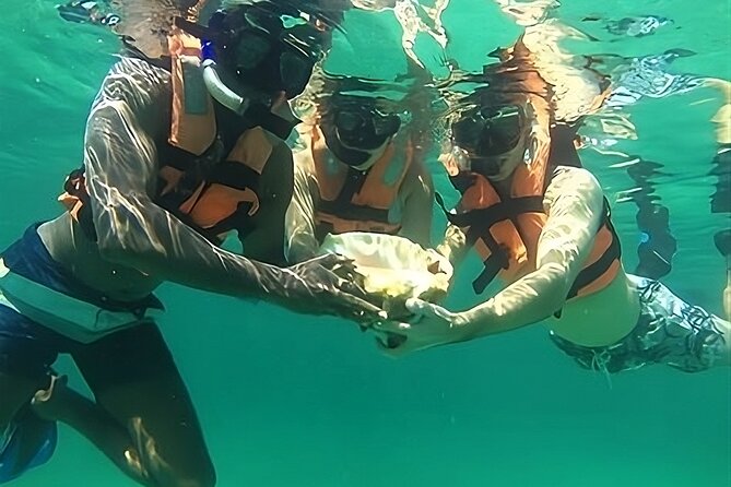 Tulum Day Trip: Pyramids + Reef Snorkel & Cenote Swim - Packing advice that can save the day