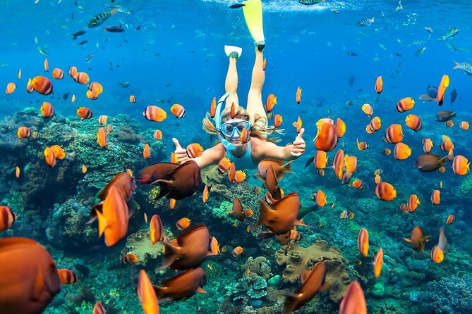 Tulum Day Trip: Pyramids + Reef Snorkel & Cenote Swim - Should you book this Tulum combination tour?