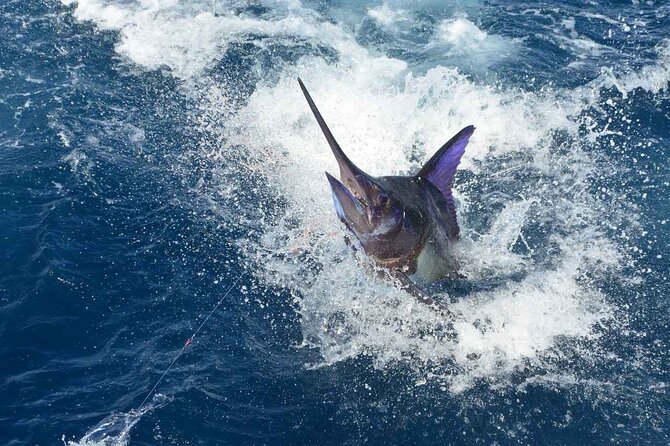 Tulum Deep Sea Fishing Tour - Turning your catch into a Tulum meal