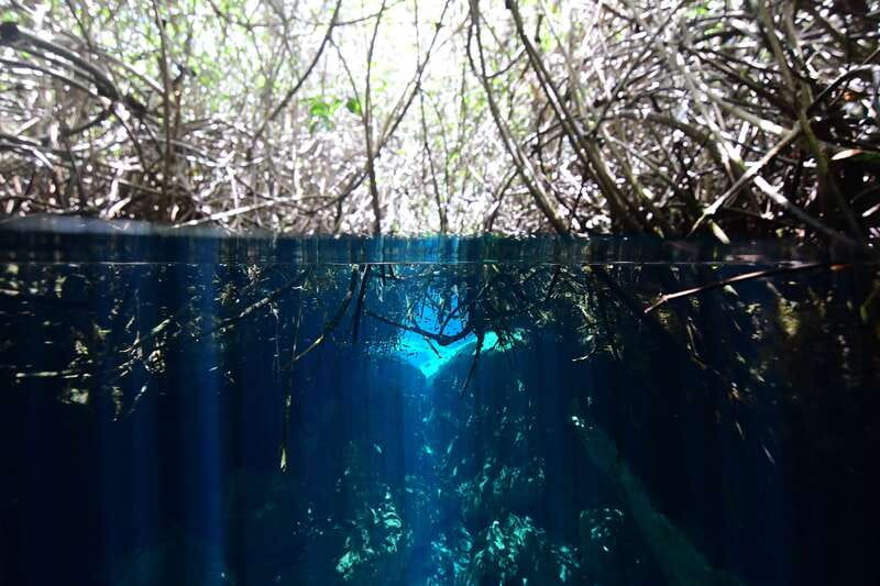 Tulum: Discover Scuba Diving in Cenotes - Getting fitted and practicing in the cenote